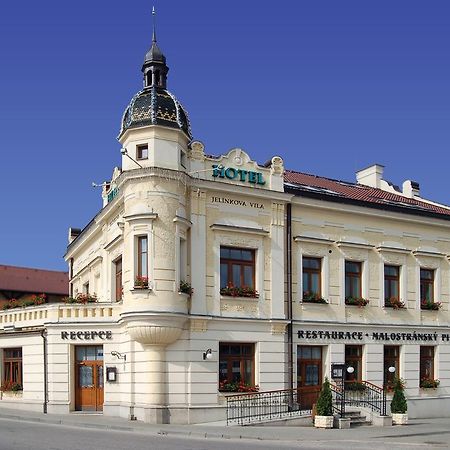 Hotel Jelinkova Vila Velke Mezirici Luaran gambar
