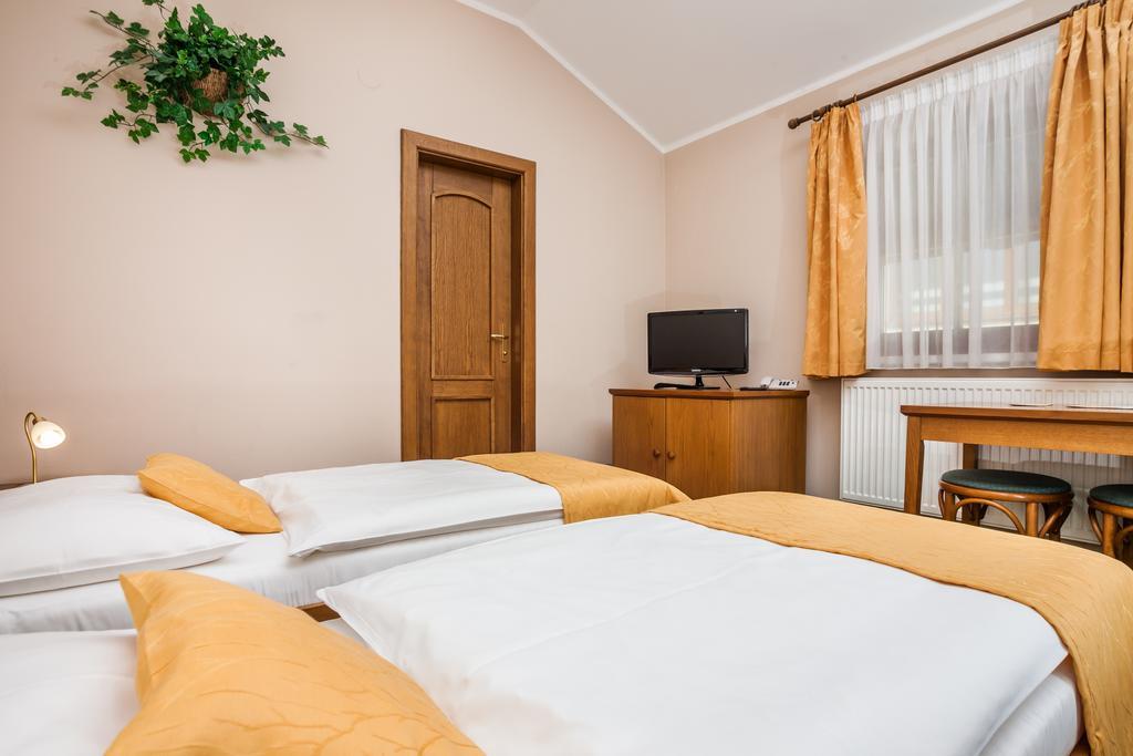 Hotel Jelinkova Vila Velke Mezirici Bilik gambar