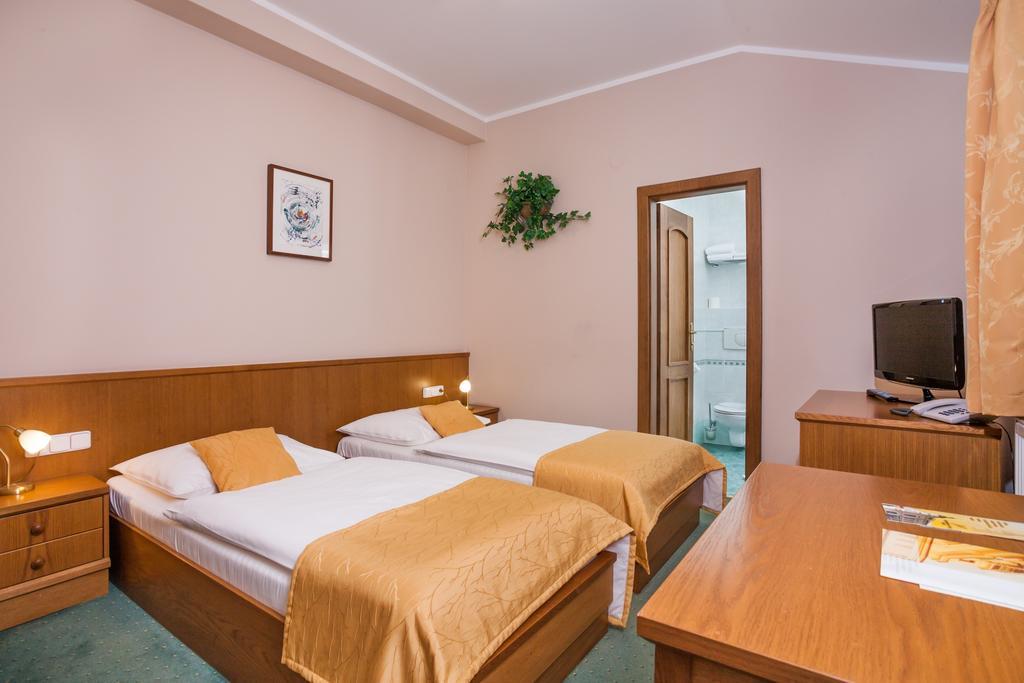 Hotel Jelinkova Vila Velke Mezirici Bilik gambar