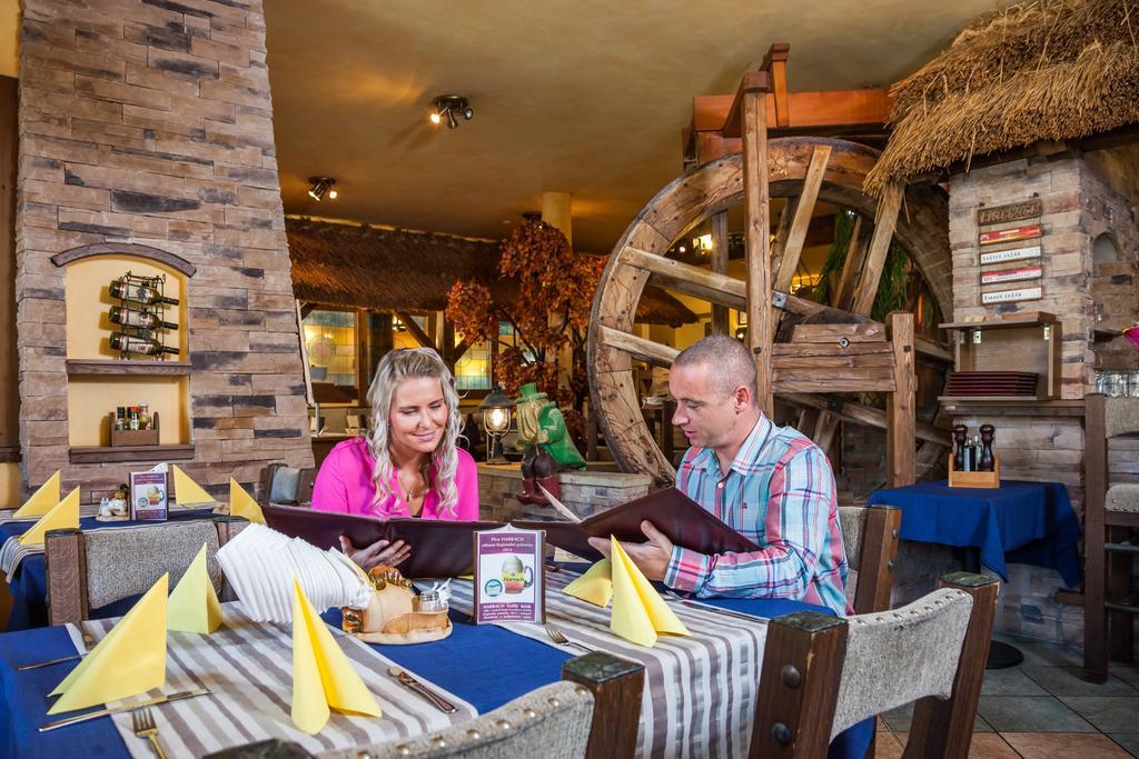 Hotel Jelinkova Vila Velke Mezirici Luaran gambar